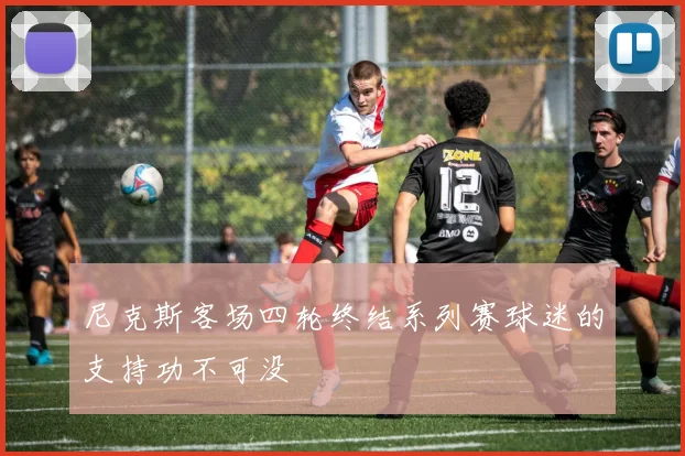 尼克斯客场四轮终结系列赛球迷的支持功不可没