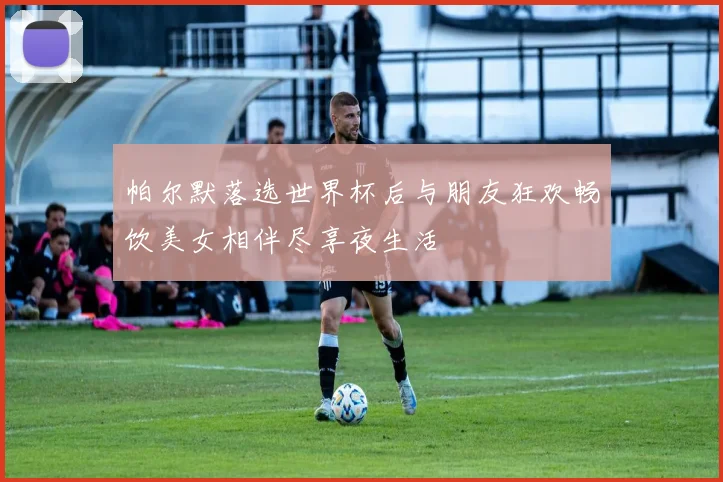 帕尔默落选世界杯后与朋友狂欢畅饮美女相伴尽享夜生活