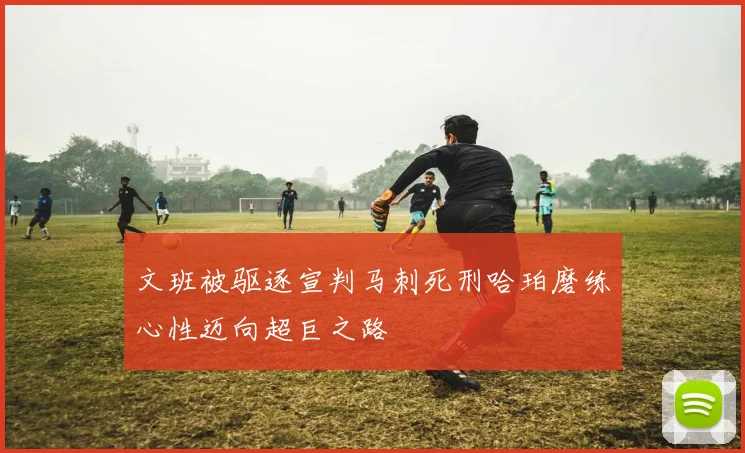 文班被驱逐宣判马刺死刑哈珀磨练心性迈向超巨之路